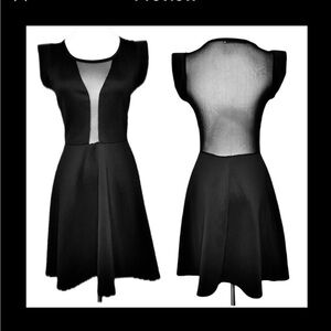 Vintage Malloy Skater Dress Sheer Mesh Front Center and Mesh Back Black